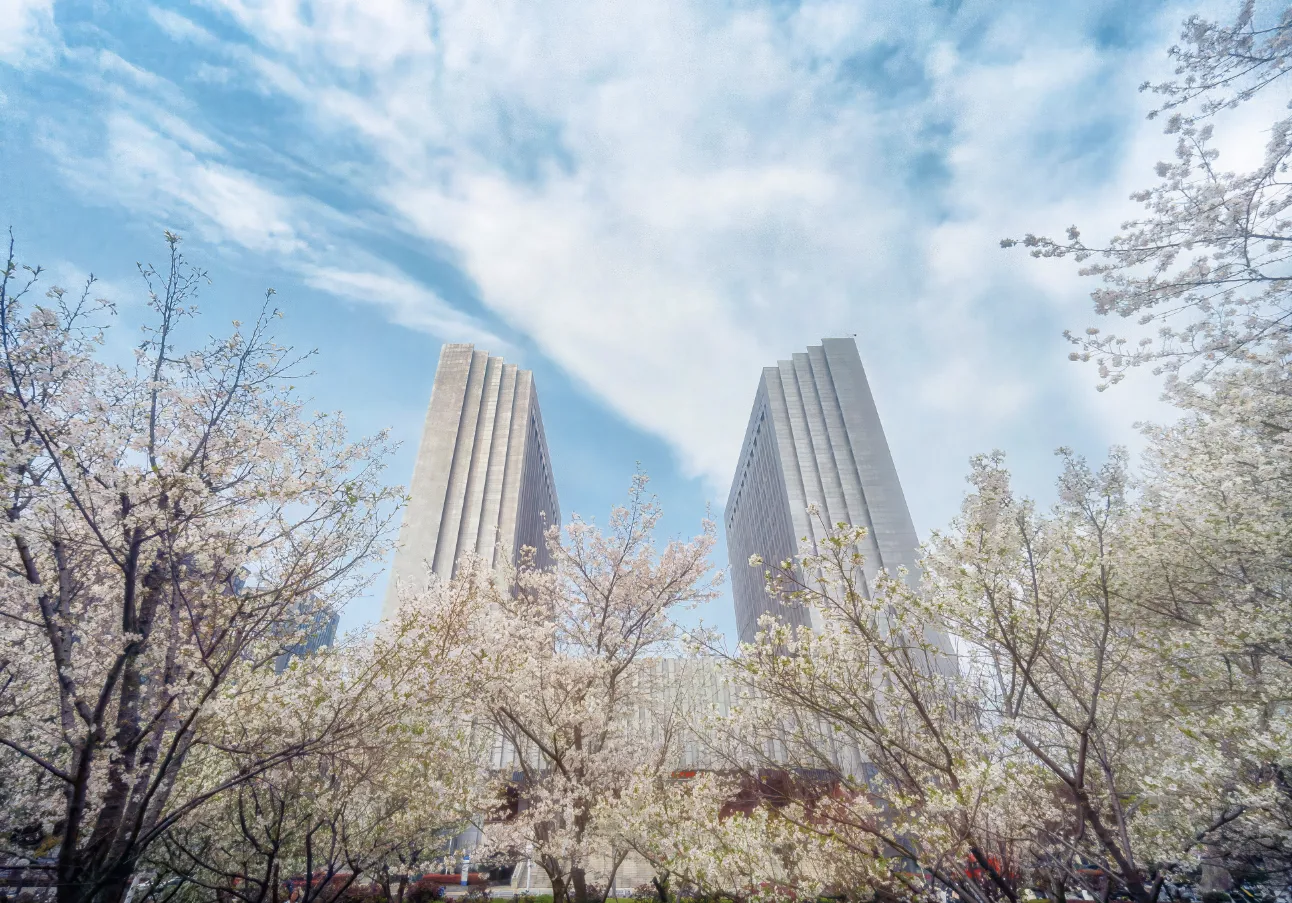 bevictor伟德官网